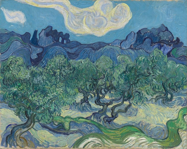 Lật lại nghi vấn về "thiên tài bị bỏ rơi" Van Gogh - Ảnh 2.