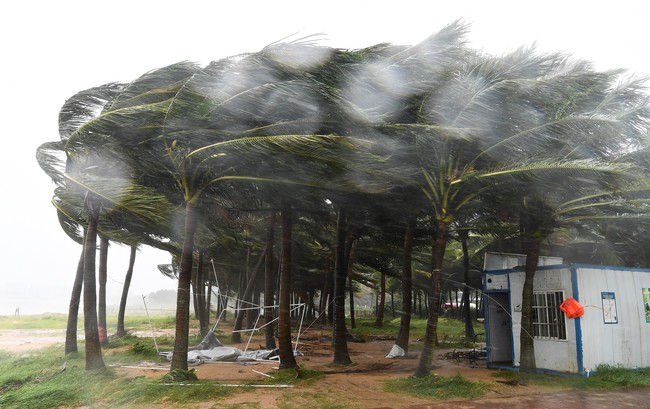 Trung Quốc: Siêu bão Yagi đổ bộ lần thứ hai, gần 1 triệu người di dời - 2 người thiệt mạng và 92 người bị thương tại đảo Hải Nam - Ảnh 1.